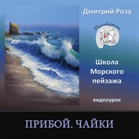 Прибой. Чайки 0013