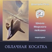 Облачная косатка 0279
