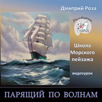 Парящий по волнам 0294