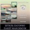 "ИНДИВИДУАЛЬНЫЙ"- Штиль Лагорио - с ежедневными разборами 3102